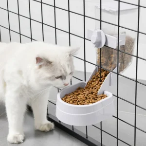 Bowls & Feeders