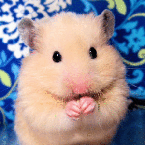 Small Pet Needs